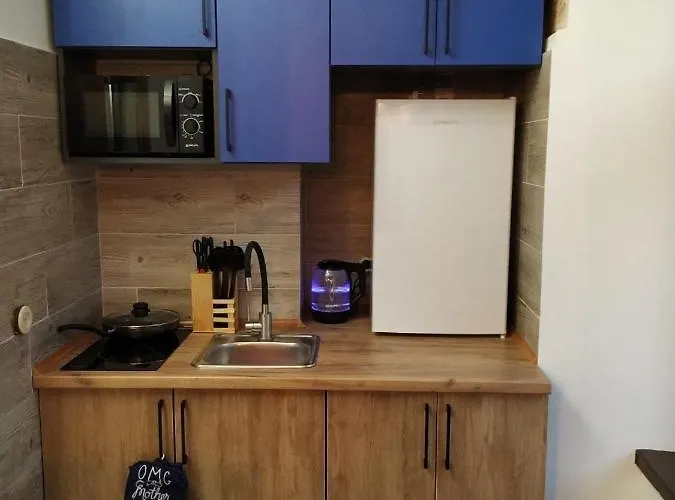 Cozy Loft в самому центрі львова Leopoli