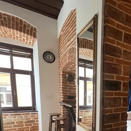 Cozy Loft в самому центрі львова Apartment