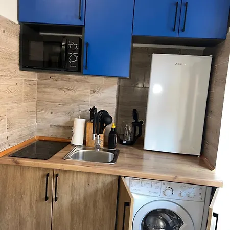 Cozy Loft в самому центрі львова Apartment *