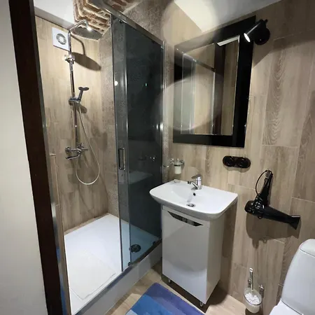 Cozy Loft в самому центрі львова Apartamento *