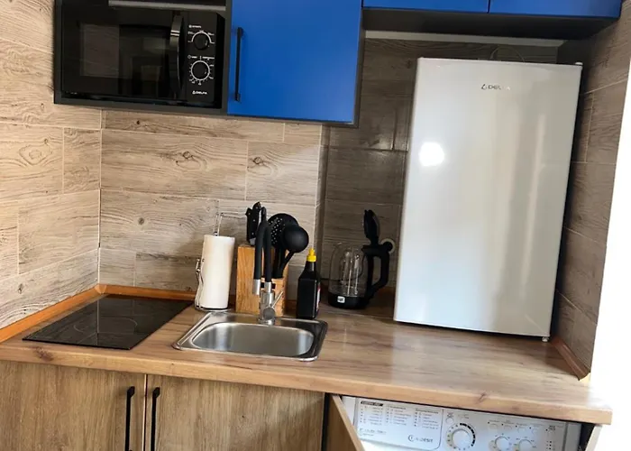 Cozy Loft в самому центрі львова 公寓 *